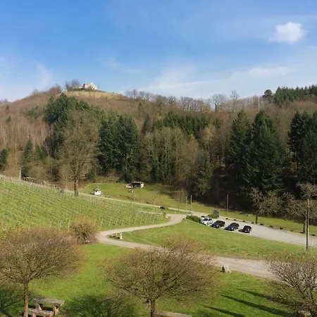 Wein Lodge Durbach - Schlossblick Exterior photo
