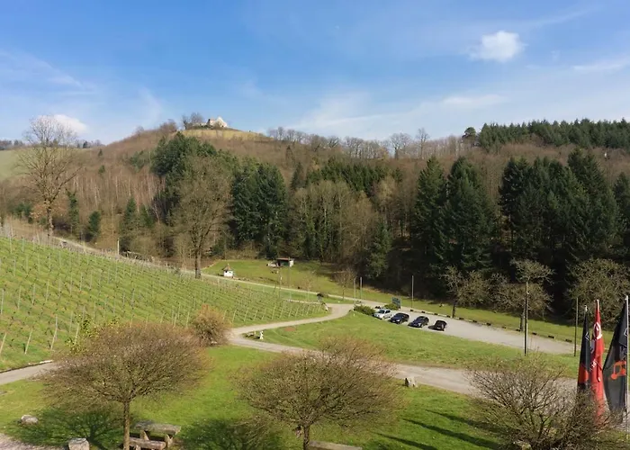 Wein Lodge Durbach - Schlossblick