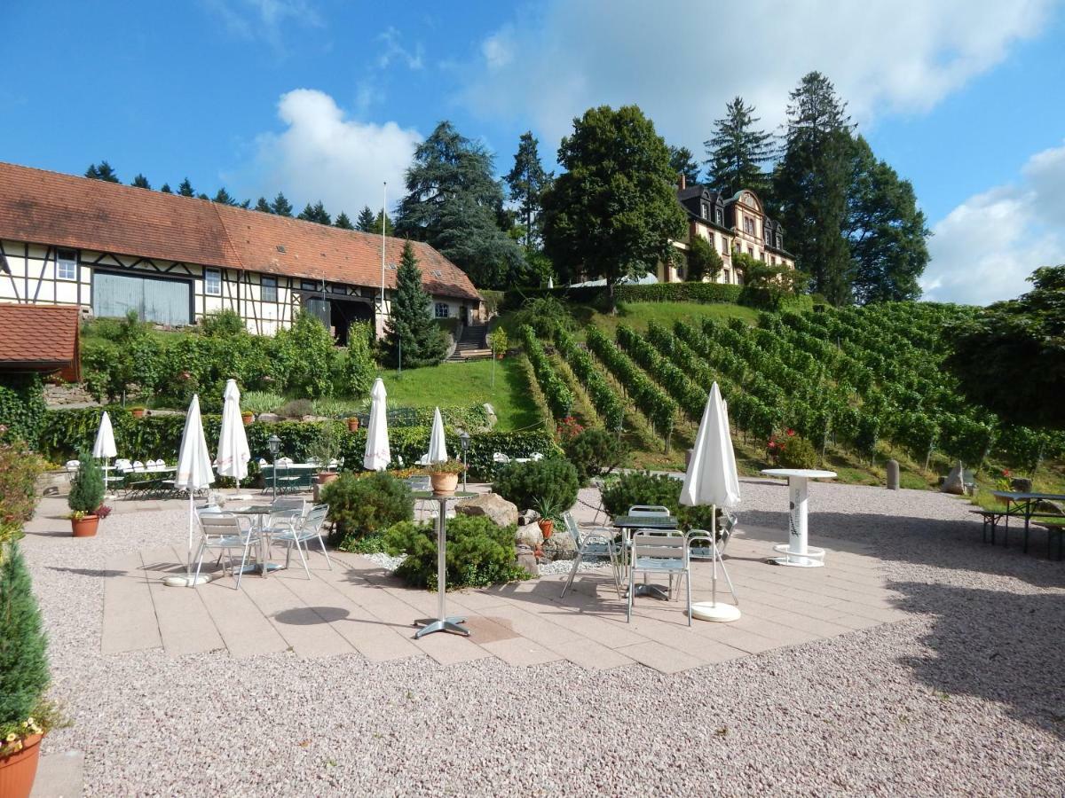 Wein - Schlossblick
