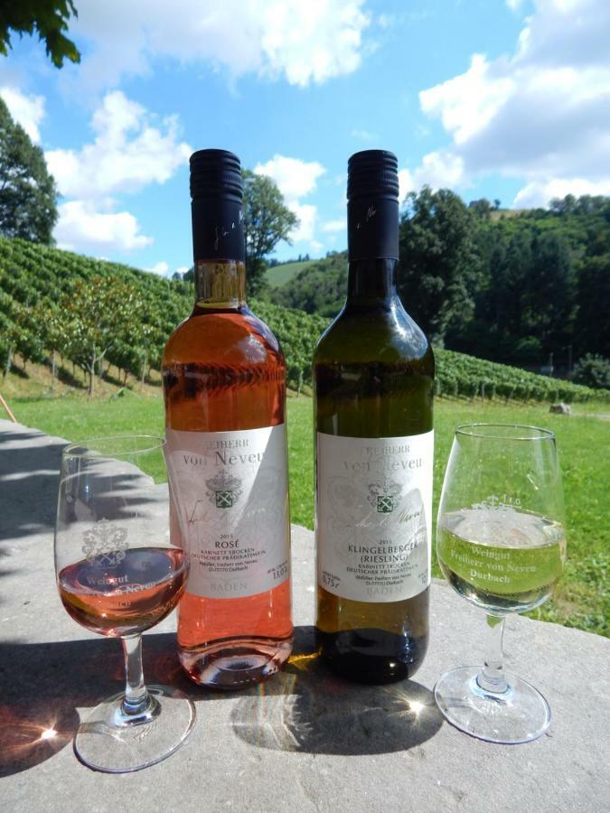 Wein - Schlossblick Durbach