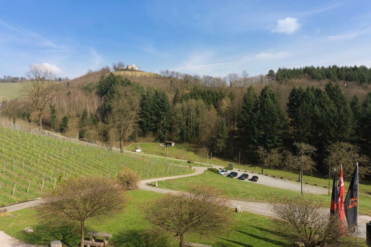 Wein - Schlossblick Apartment Durbach