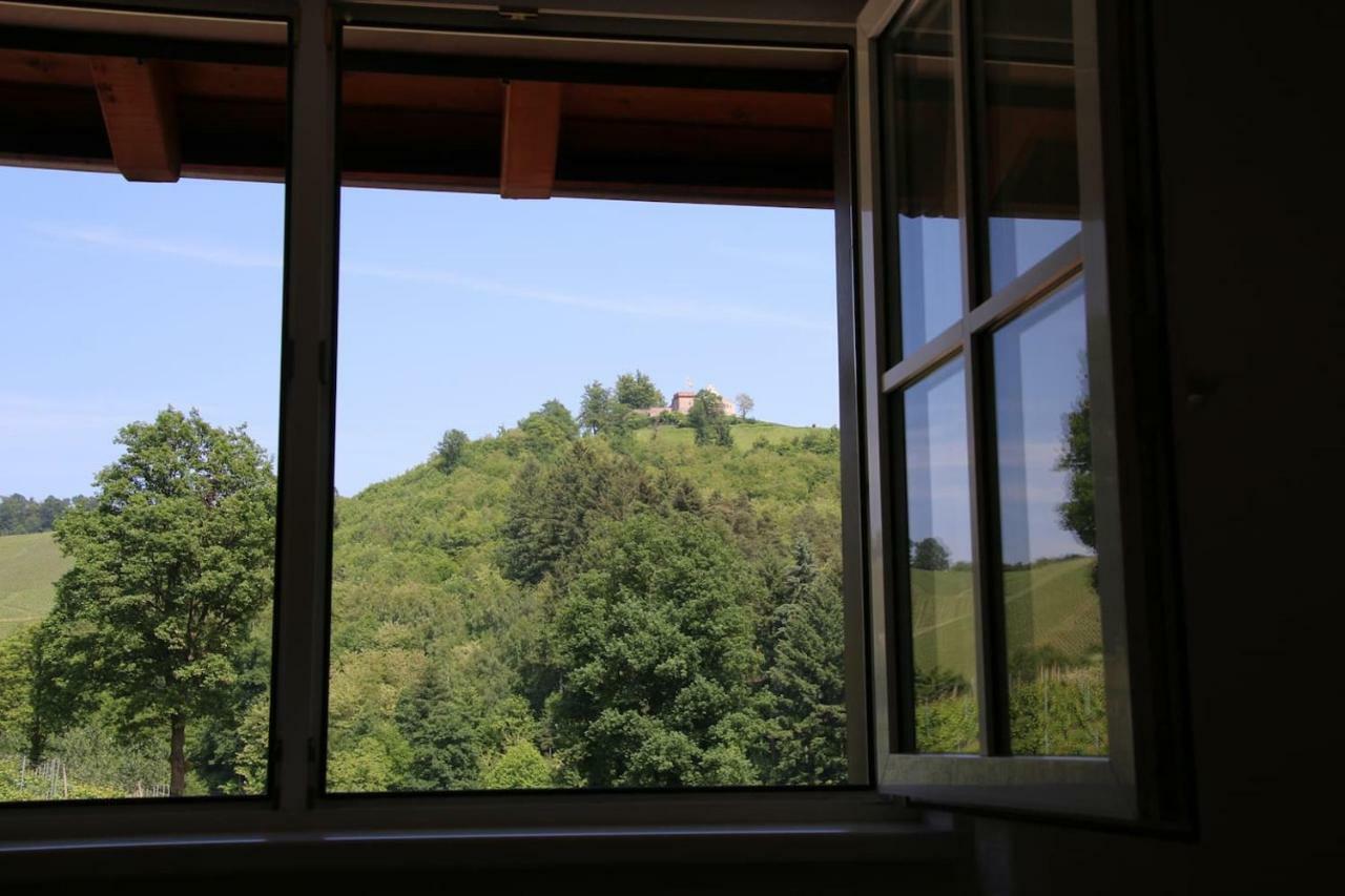 Wein - Schlossblick * Durbach