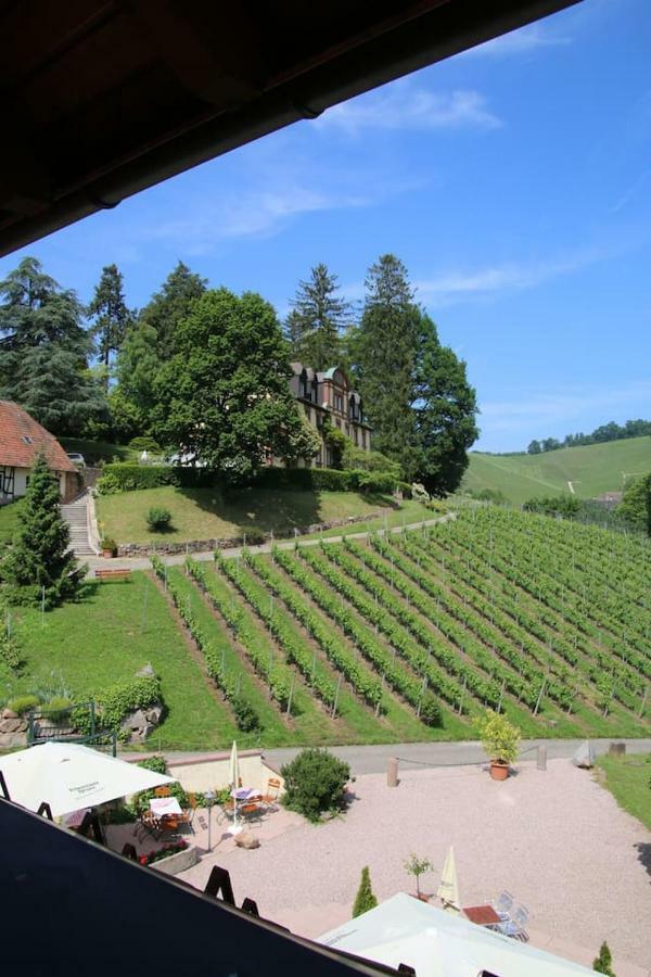 Apartment Wein - Schlossblick Durbach