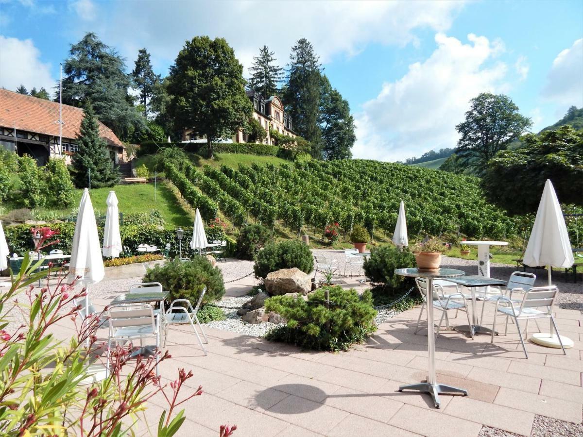 Wein - Schlossblick Apartment Durbach
