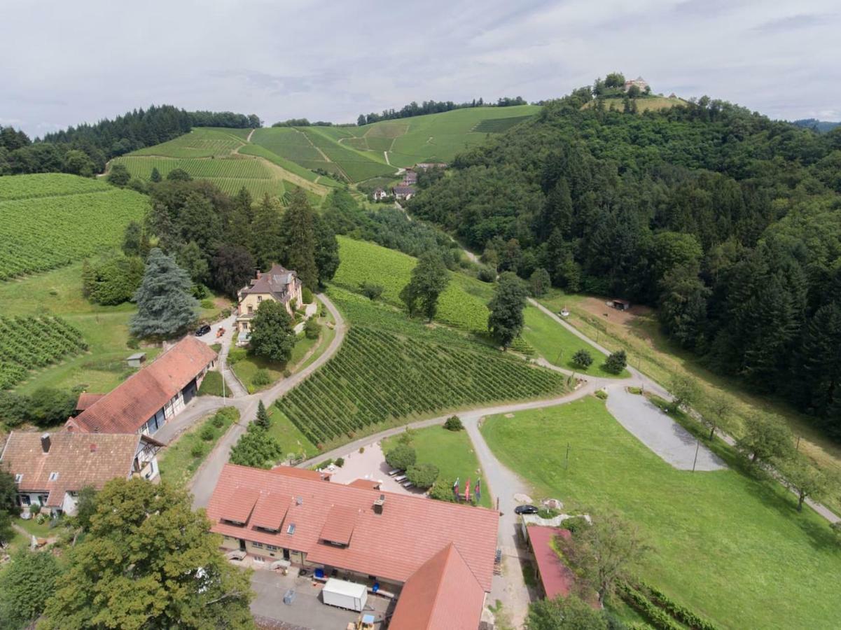Wein - Schlossblick *